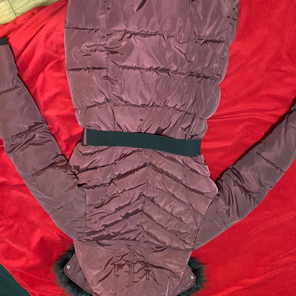 Winter jacket - Picture 5 of 5